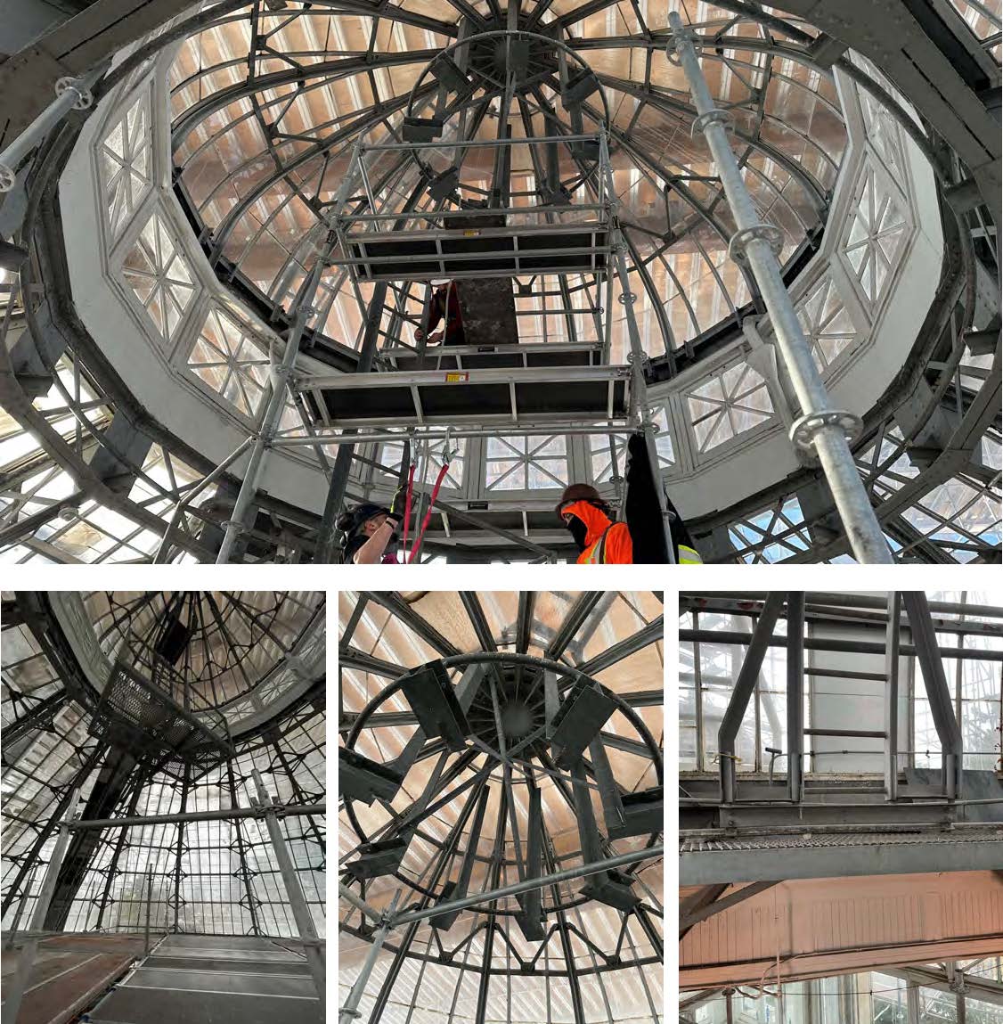 Project: Allan Gardens Heritage Restoration | Toronto Centre Projects