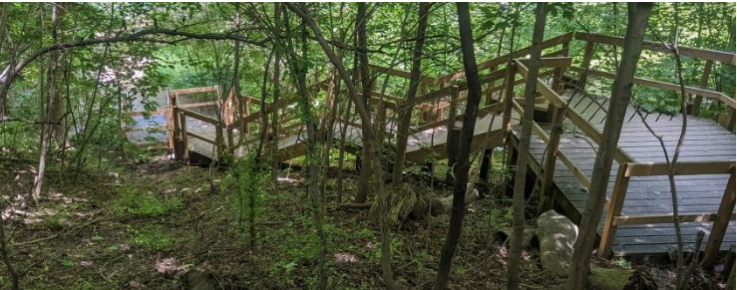 Existing Staircase to Wellesley Park 