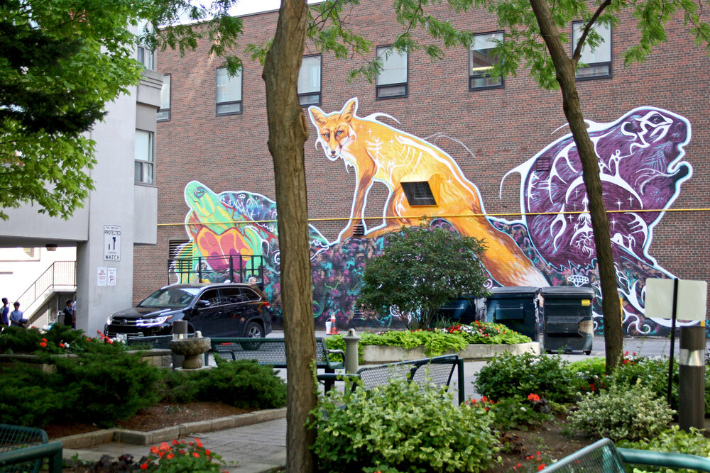 Nicholson lane (St. Lawrence Neighbourhood) 